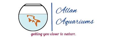 Allan Aquariums